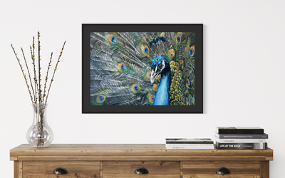 PAUW - PRINT 63 x 90 cm