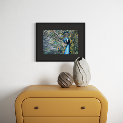 PAUW - PRINT 28 x 40 cm