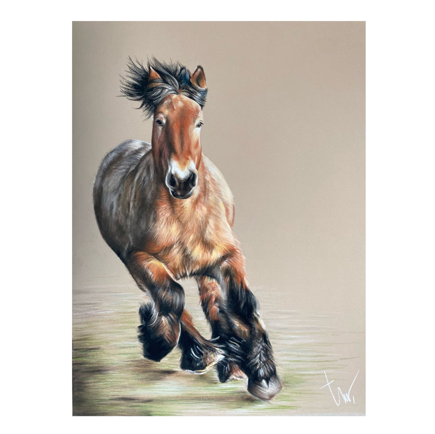 BOERENPAARD