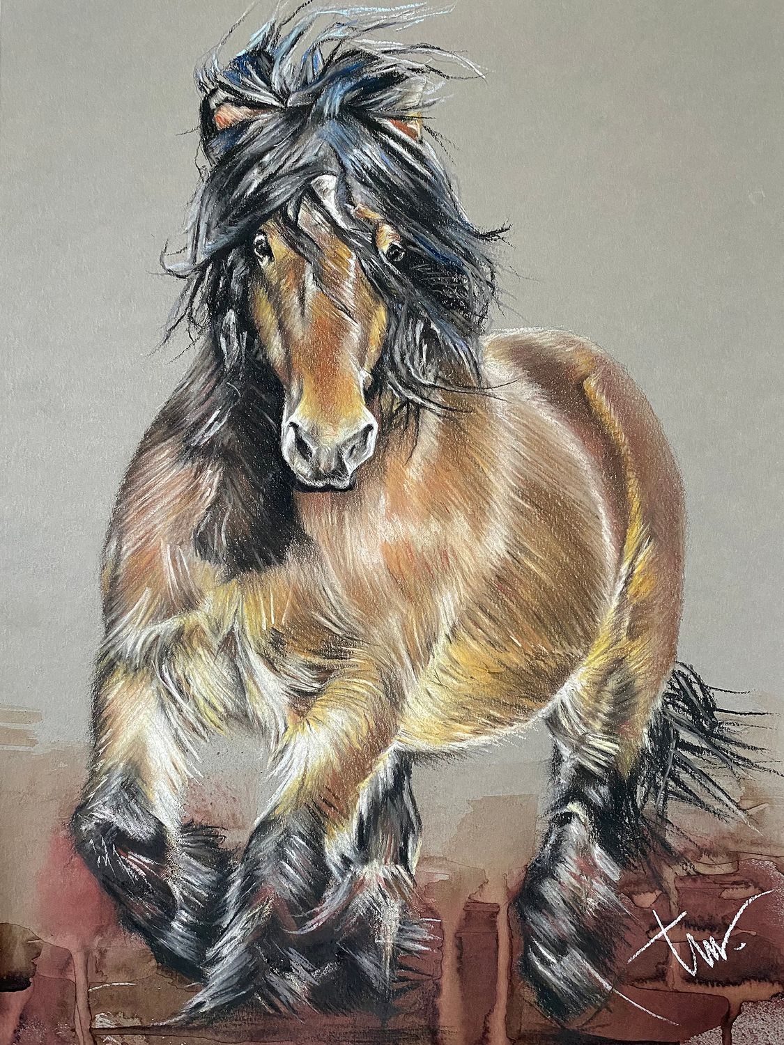 BOERENPAARD - TROTSE HENGST - PRINT 75 x 100 cm