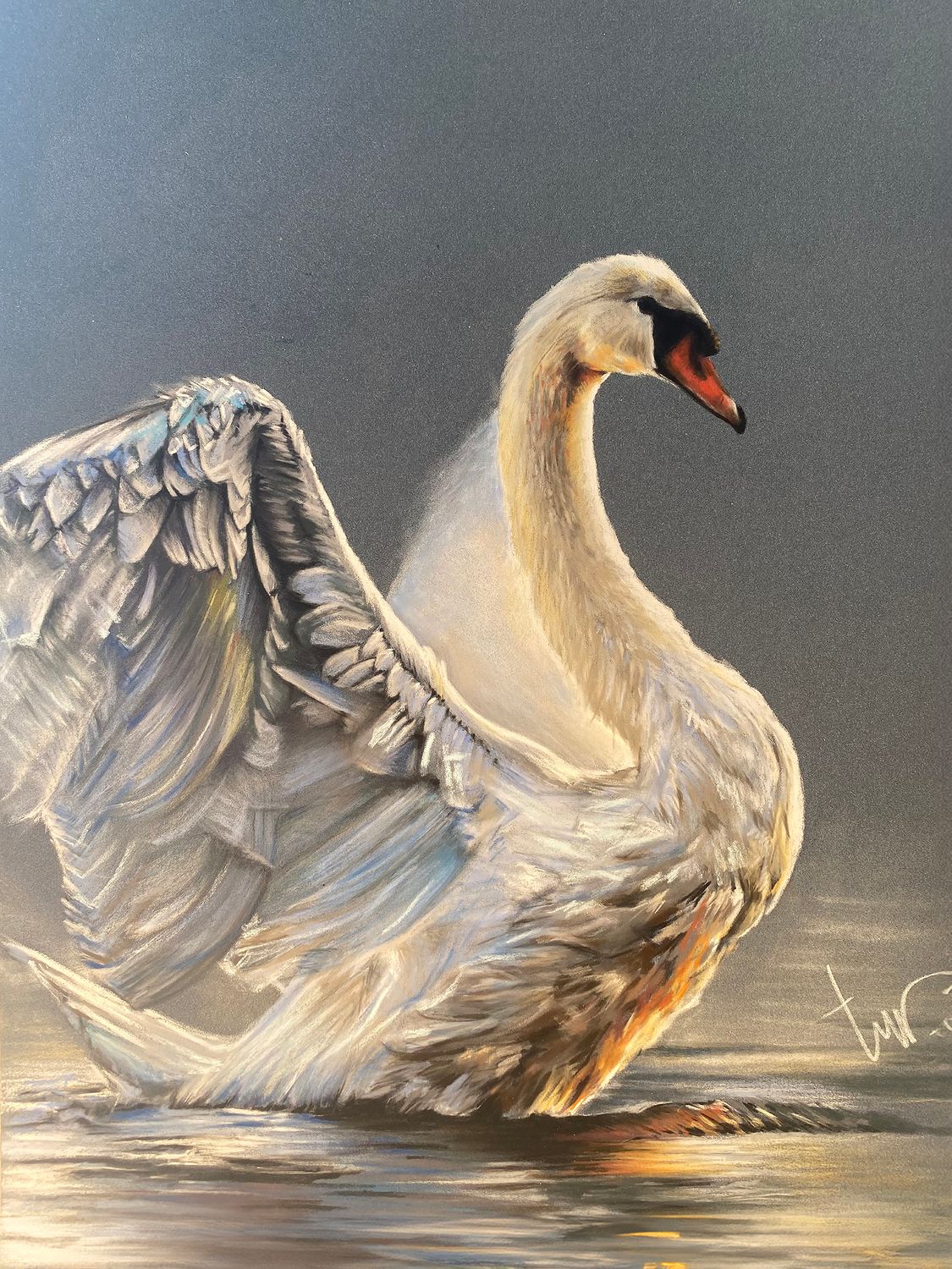 WITTE ZWAAN - ALUMINIUM 45x60cm