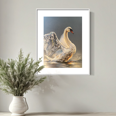 WITTE ZWAAN - PRINT 20x27cm