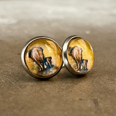 Oorbellen stekers