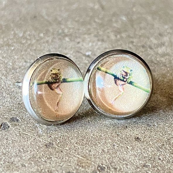 Oorbellen, Kies uit:: kikker, model: zilverkleurige stekers , afmeting: Ø 10mm