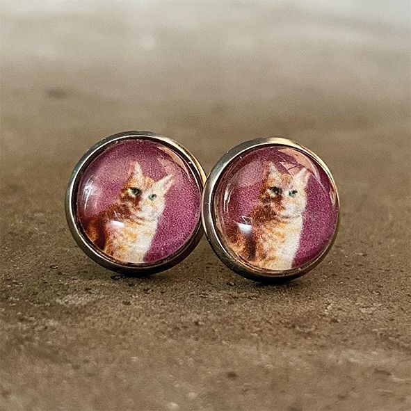 Oorbellen stekers, Kies uit:: kat, Vorm: steker
