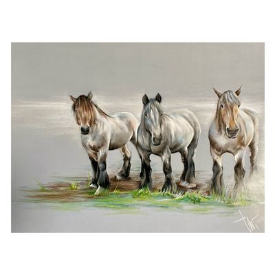 BOERENPAARDEN IN DE MIST