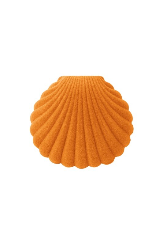 Shell Jewelry Box Orange