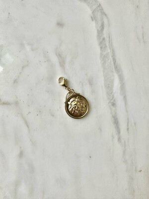 Charm Gold Coin