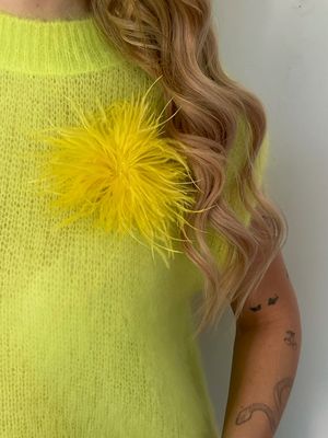 Feather Yellow