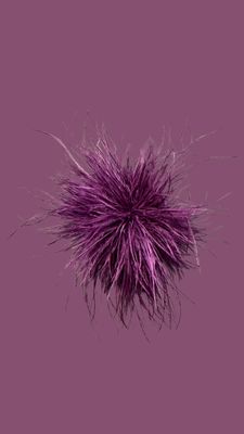 Feather Dark Purple