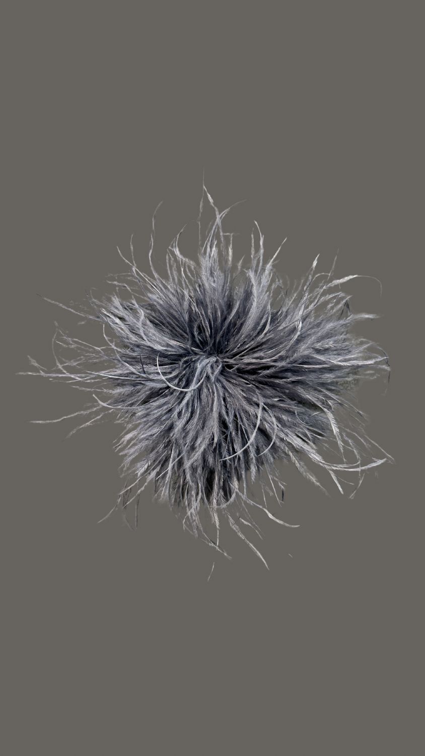 Feather Grey