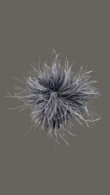 Feather Grey