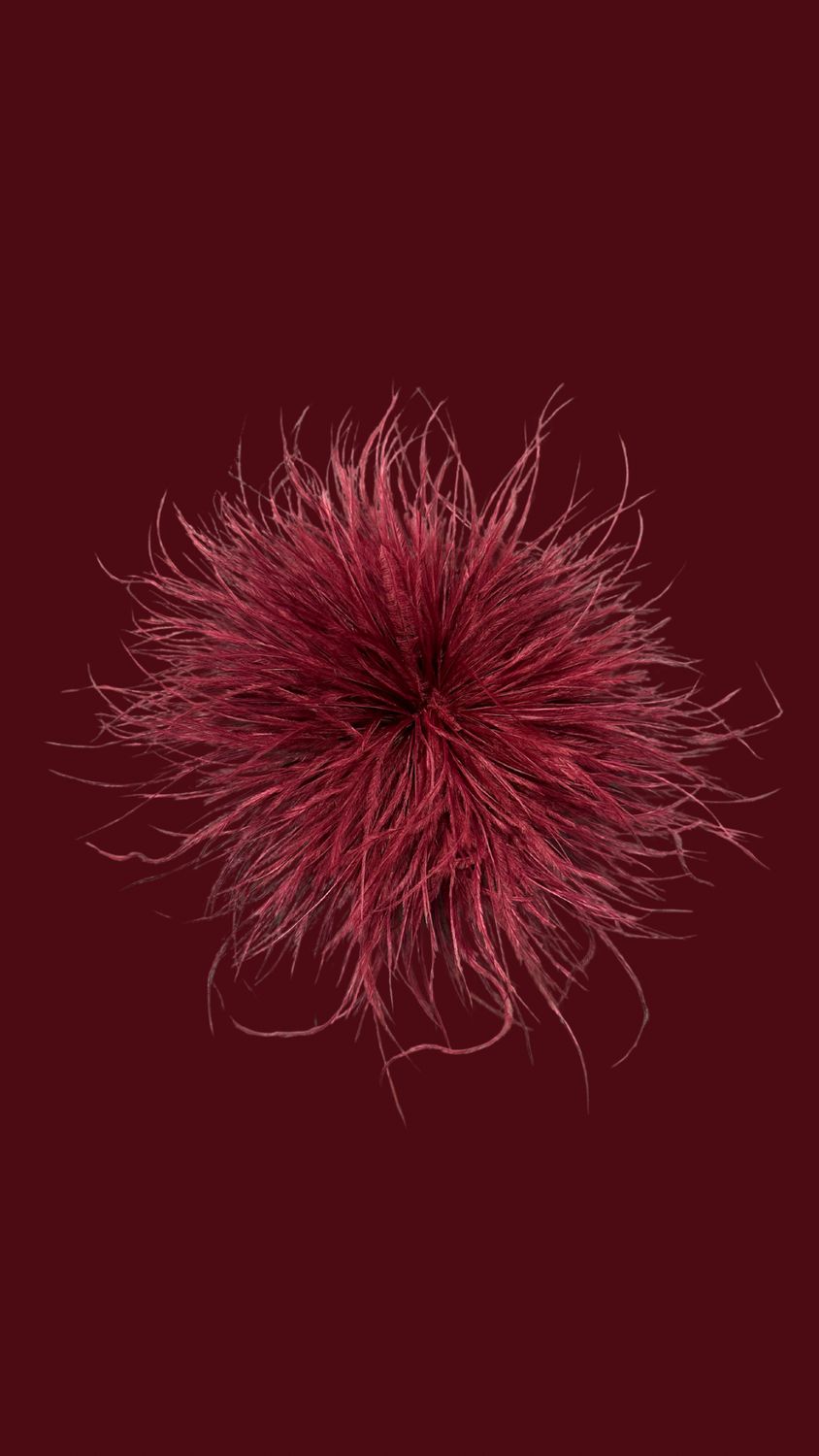 Feather Bordeaux