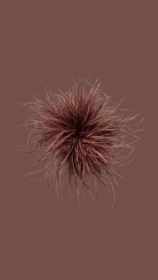 Feather Brown
