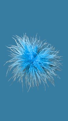 Feather Sea Blue