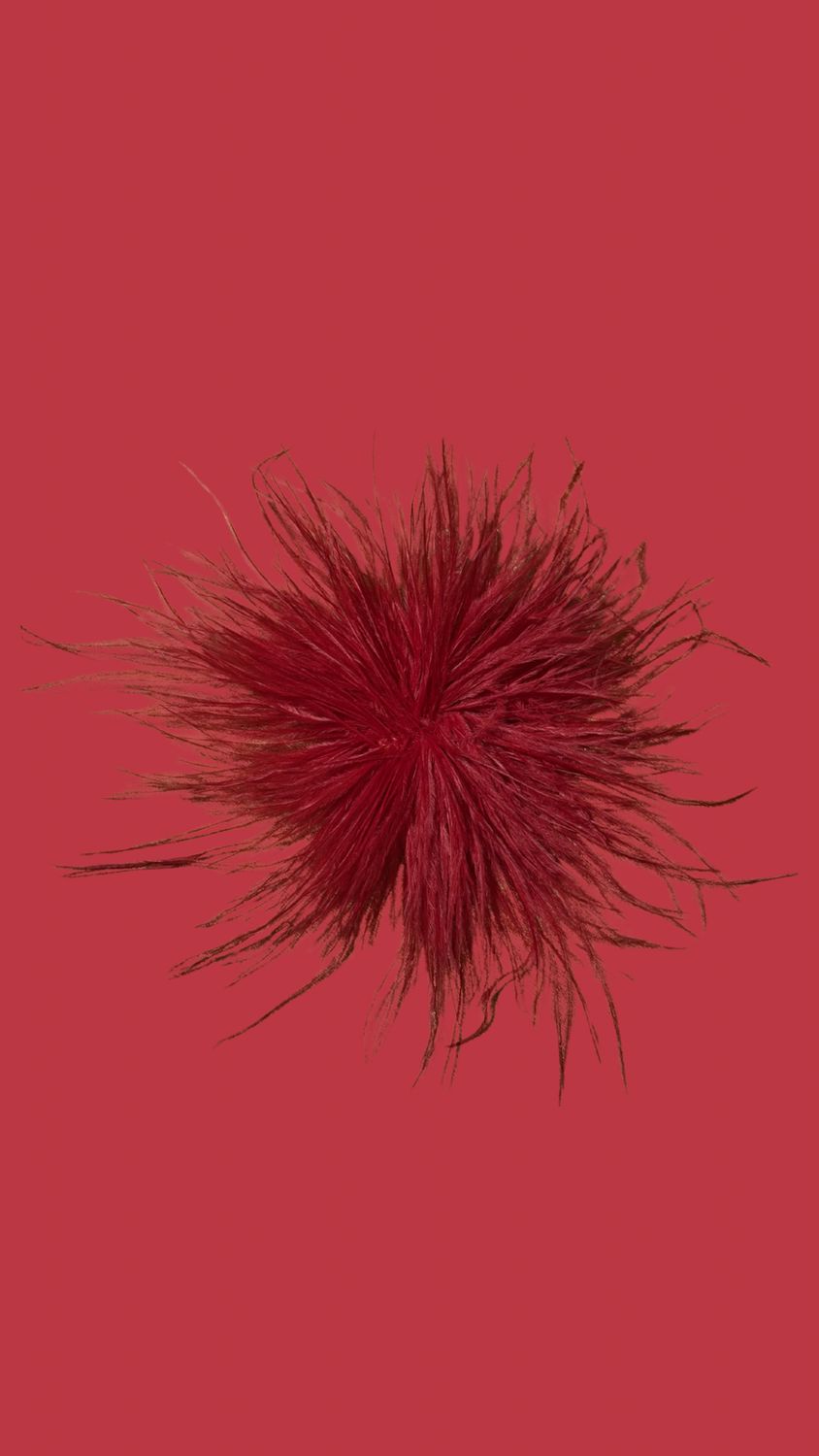 Feather Red