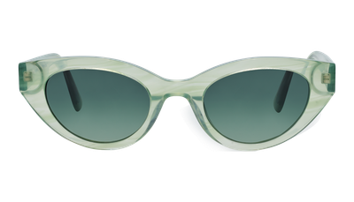 Sunday Eyebright Cucuzza Sunday Eyebright Cucuzza