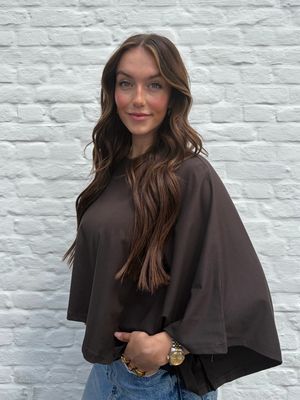 Céline T-shirt Brown