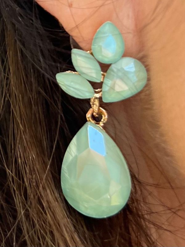 Oorbellen in het saliegroen