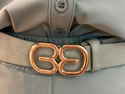 Riem op een rekker in het saliegroen