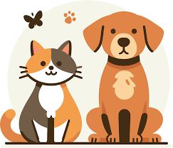 Pet