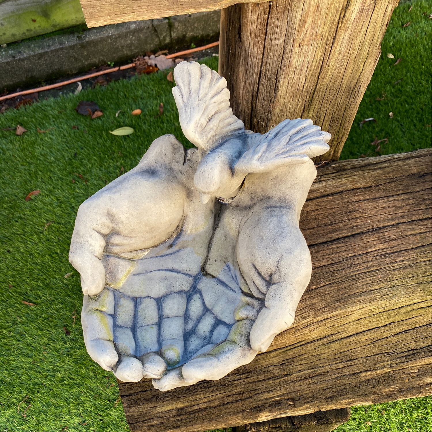 Vogel op handen