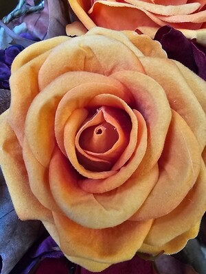 Velvet rose 60cm orange