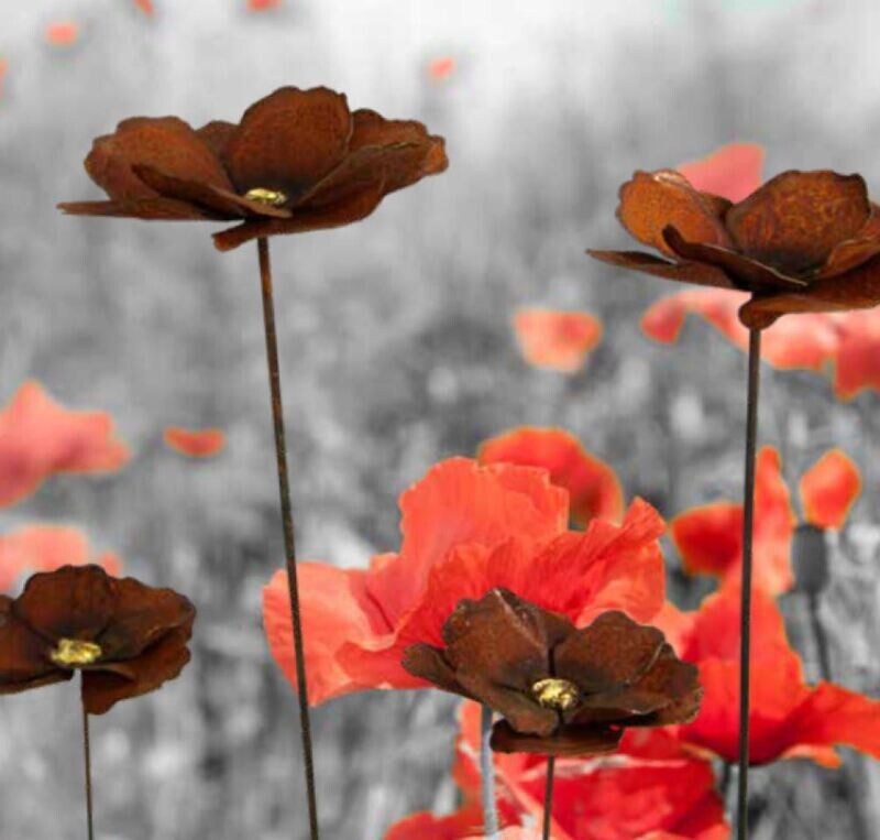 Klaproos Klaproos "papaver met gouden center D20 L100 cm