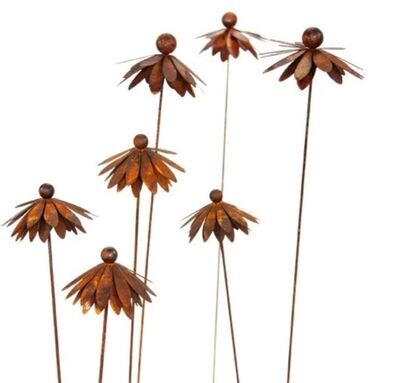 Echinacea op stang H80cm