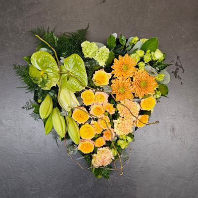 Hart FRH-305 accent kleur Hart FRH-305 accent kleur