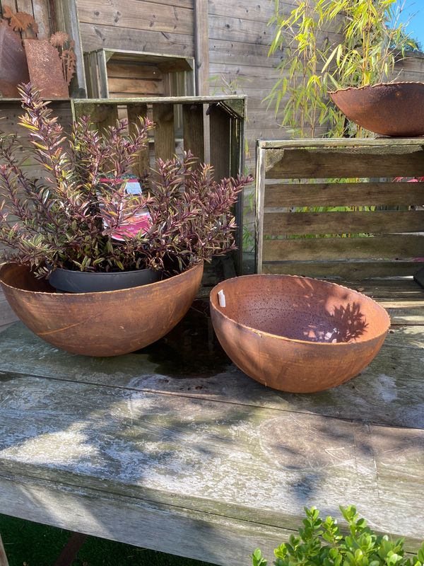 Halve bol goudrand D40 Halve bol goudrand D40