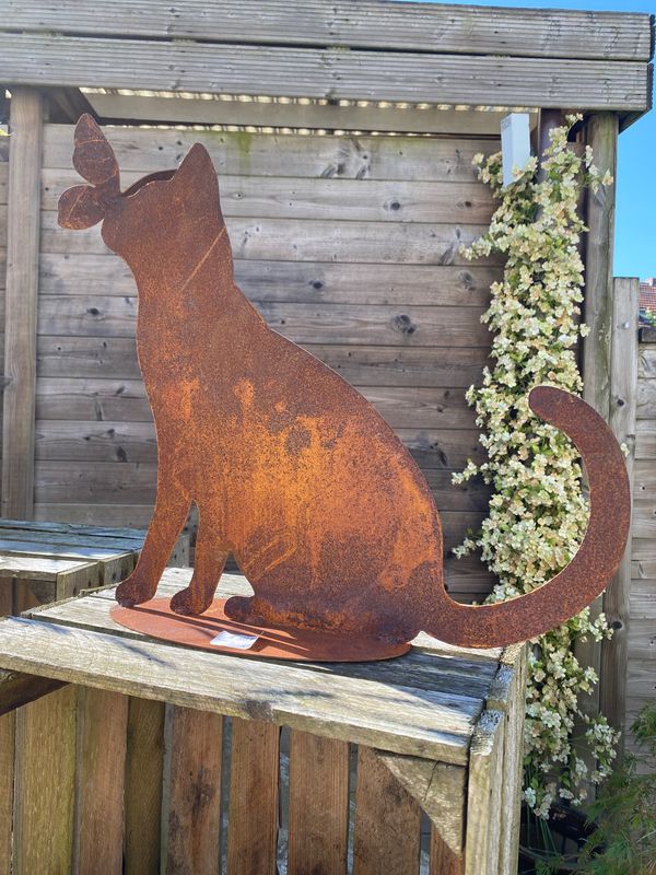 Kat vlinder neus Kat vlinder neus