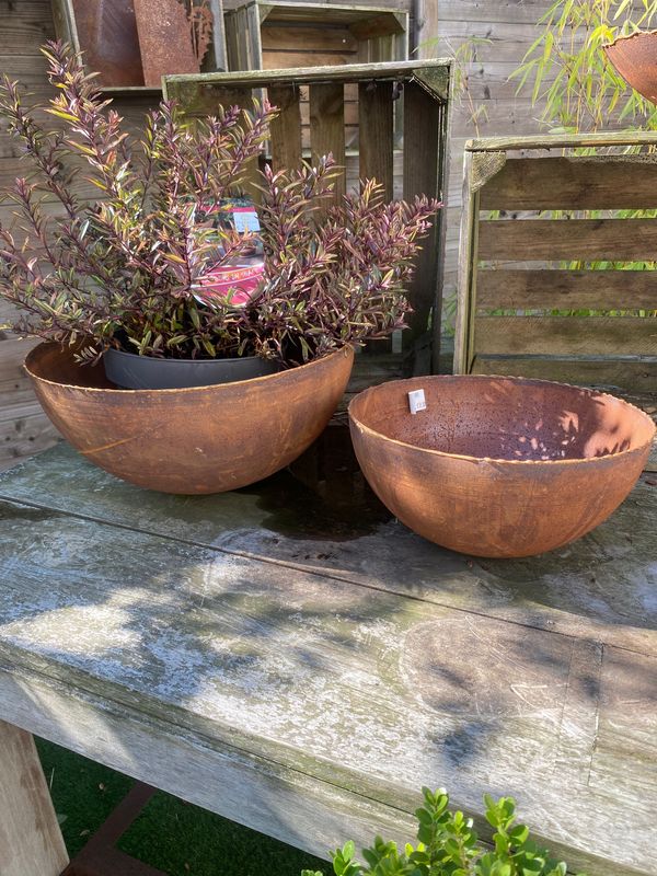 Halve bol goudrand D30 Halve bol goudrand D30