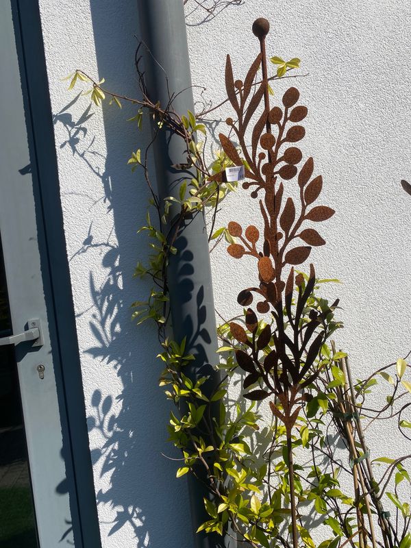 Gras large H150 Gras large H150