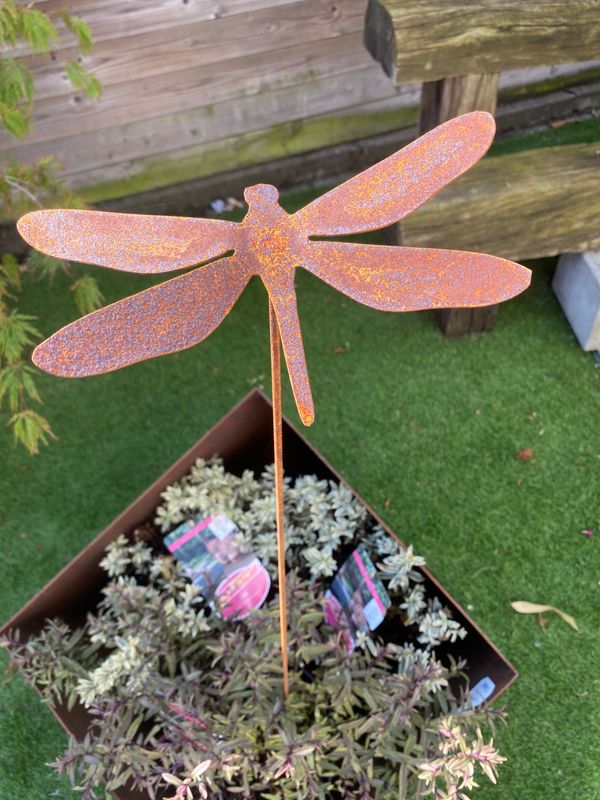 Libel H19/stang Libel H19/stang