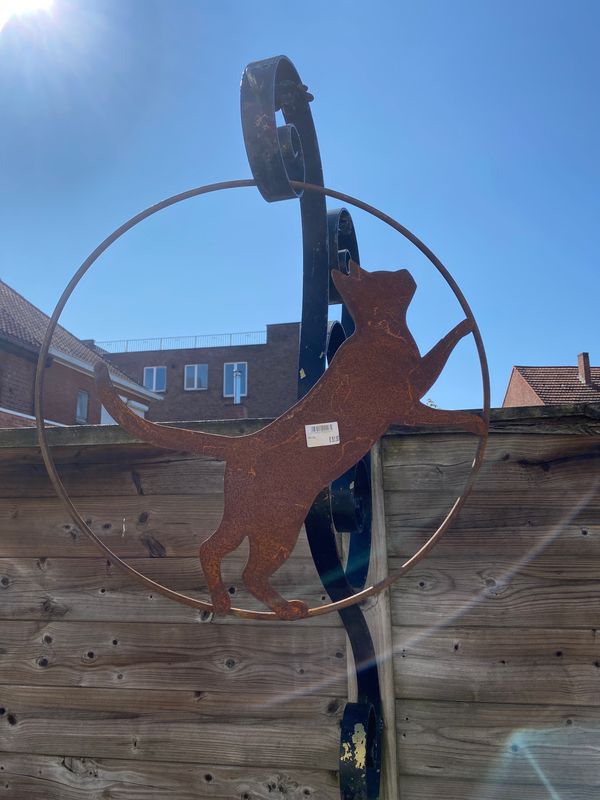 Kat lopend in ring Kat lopend in ring