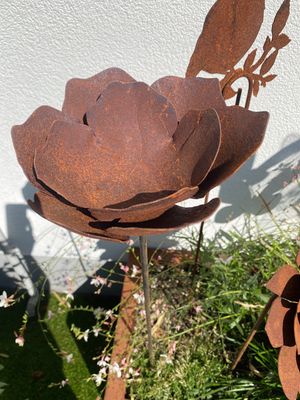 Bloem vr vogelzaad D18XST8