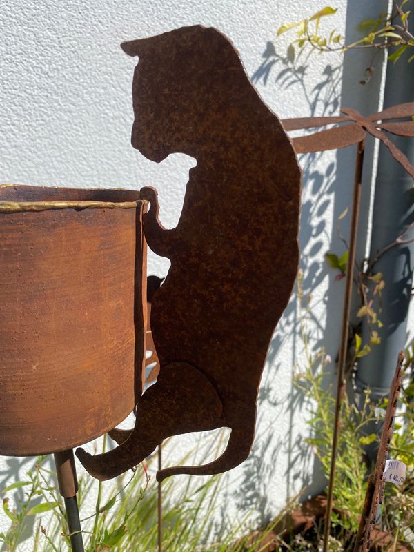 Kat voor pot Kat voor pot