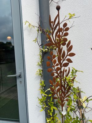 Botanic stang H150cm