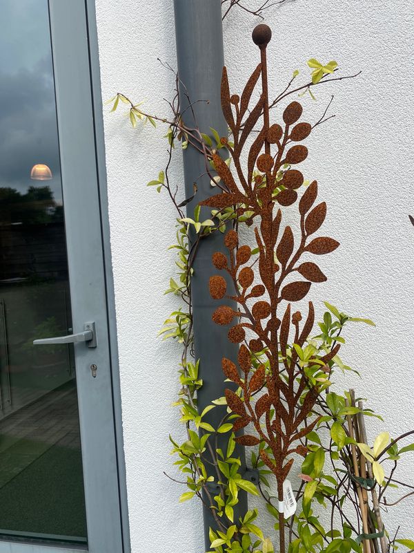 Botanic stang H150cm Botanic stang H150cm