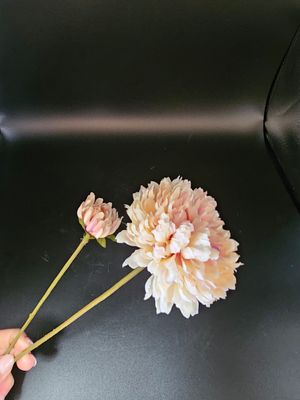Mum 63cm beige