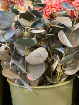 Pastel Eucalyptus 80cm Roze