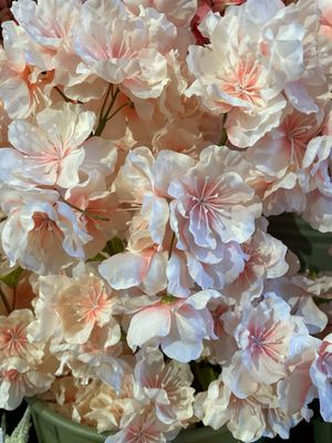 Peach Blossom 78cm Peach
