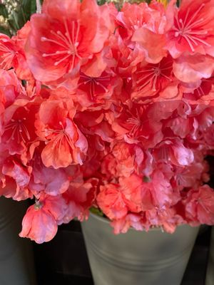 Peach Blossom 78cm Orange