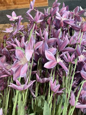 Large clematis spray 125cm LAVENDER
