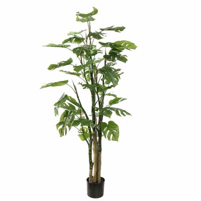 Split philo plant green (150cm)