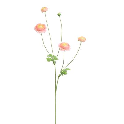 Ranunculus 90cm pink