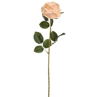 Rose peach 70cm Rose peach 70cm