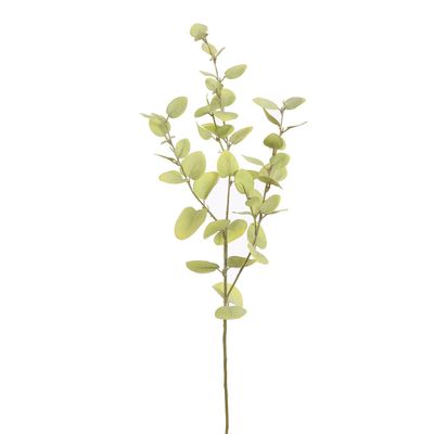 Pastel Eucalyptus 80cm munt