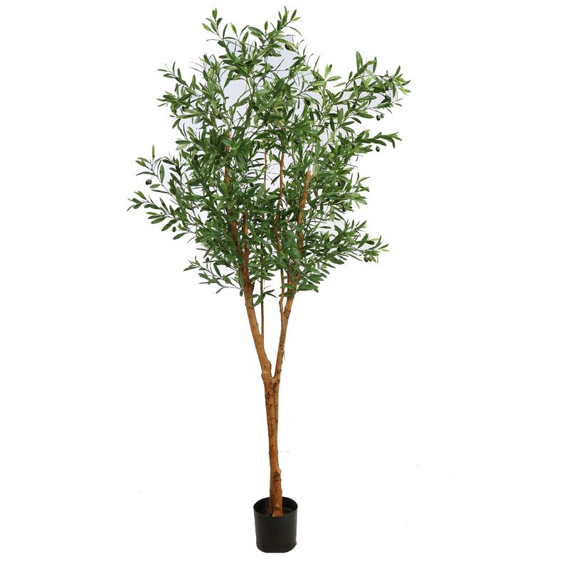 Olive tree 210cm green UV